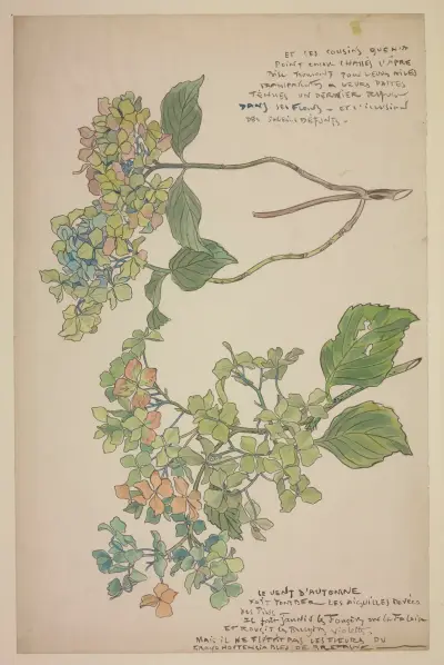 Stor blå hortensia från Bretagne av George Auriol