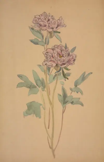 Pioner av George Auriol