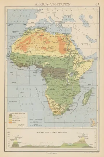 Afrika, vegetation av John George Bartholomew