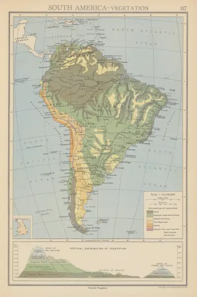 Sydamerika, vegetation av John George Bartholomew