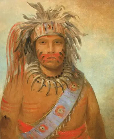 Au-nim-muck-kwa-um, Stormfågel av George Catlin