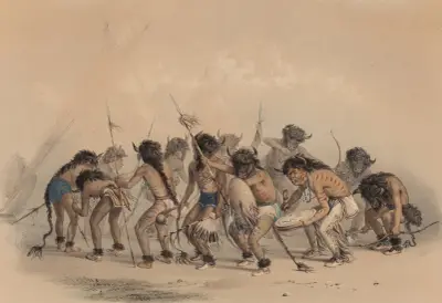 Buffel dans av George Catlin