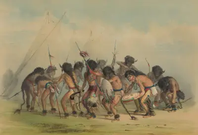 Buffel dans av George Catlin