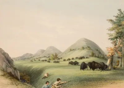 Buffeljakt, annalkande i en ravin av George Catlin