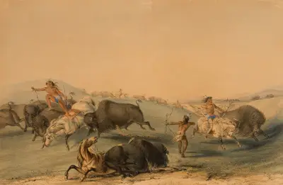 Buffeljakt, förföljelse av George Catlin