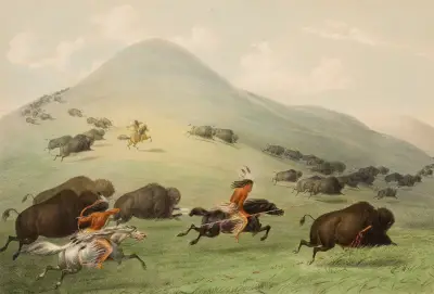 Buffalo Hunt, Horseback av George Catlin