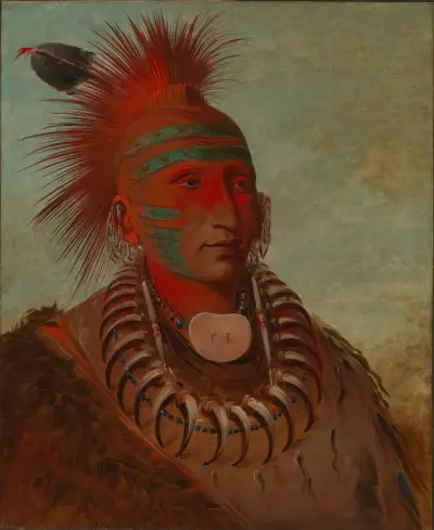 No-Ho-Mun-Ya, One Who Gives No Attention av George Catlin
