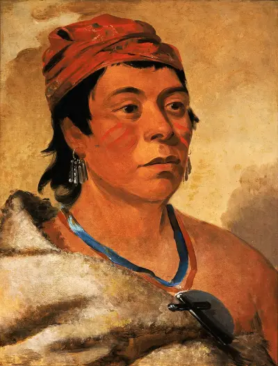 Round Island, a Warrior av George Catlin