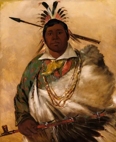 Téh-Ke-Néh-Kee, Black Coat, a Chief av George Catlin