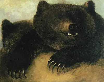 Grizzlybjörnens vapen och fysionomi av George Catlin