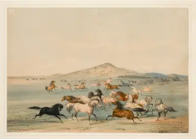 Vilda hästar i lek av George Catlin