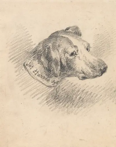Head of a Hound von George Morland