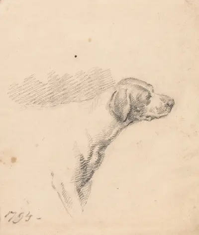 Study of a Hound; Head and Shoulders, Facing Right von George Morland