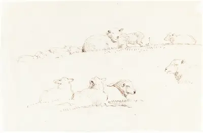 Studies of Sheep in Pasture av George Richmond
