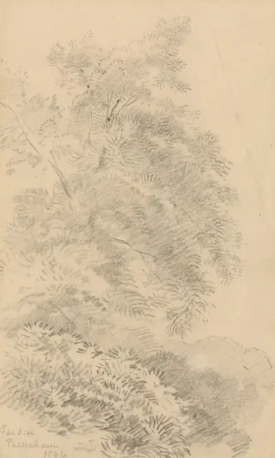 Studie stromu na travnatém břehu, George Richmond