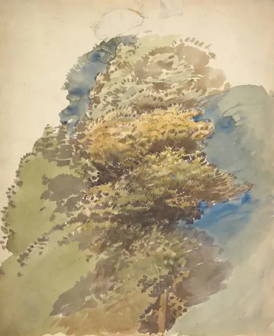 Studie av ett träd av George Richmond