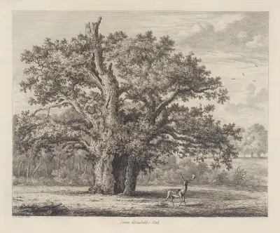 Drottning Elizabeths ek av Jacob George Strutt