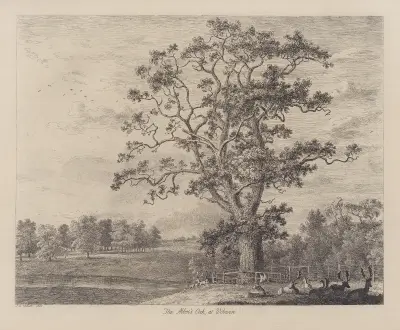 Abbotens ek av Jacob George Strutt