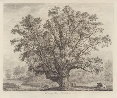 The Abbot’s Willow av Jacob George Strutt