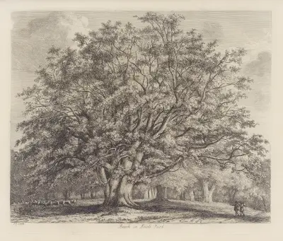 The Beech Tree at Knole av Jacob George Strutt