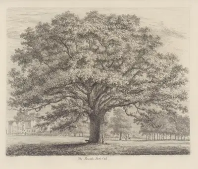 The Bounds-Park Oak av Jacob George Strutt