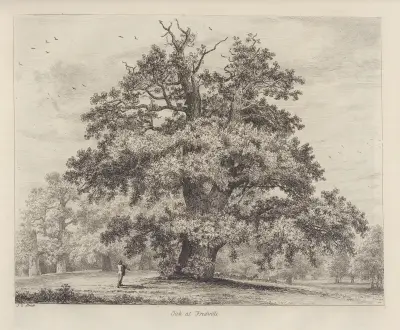The Fredville Oak, Beauty av Jacob George Strutt