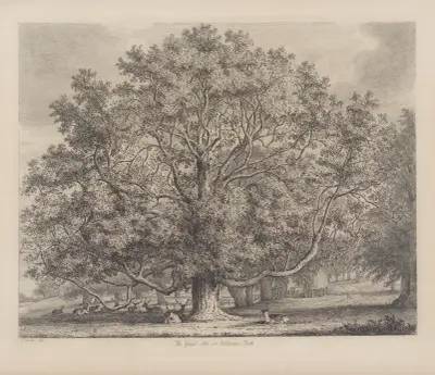 The Great Ash At Woburn av Jacob George Strutt