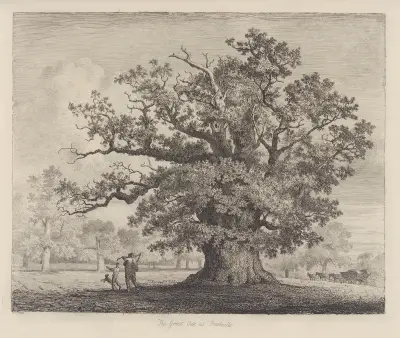 The Great Oak at Fredville av Jacob George Strutt