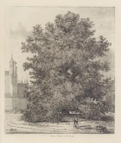 The Horse Chesnut at Burleigh av Jacob George Strutt