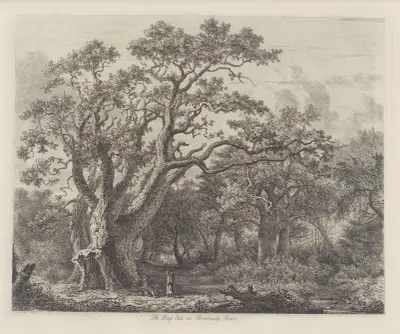 The King Oak In Savernake Forest av Jacob George Strutt
