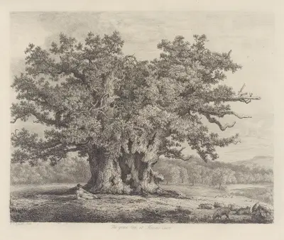 The Moccas-Park Oak av Jacob George Strutt