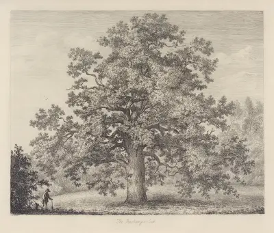 The Panshanger Oak av Jacob George Strutt