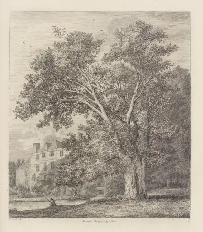 The Plane Tree At Lee Court av Jacob George Strutt