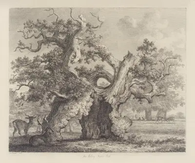 The Salcey Forest Oak av Jacob George Strutt