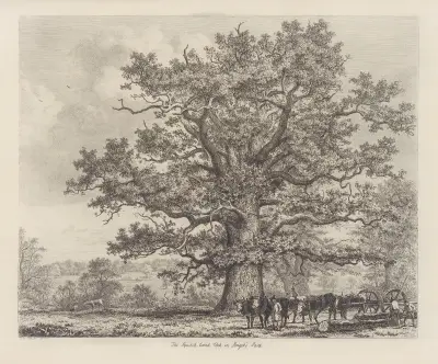The Squitch Bank Oak av Jacob George Strutt