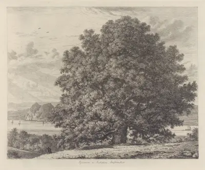Platanen vid Bishopton av Jacob George Strutt