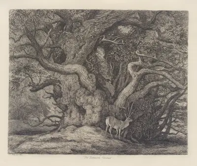 The Tortworth Chesnut av Jacob George Strutt