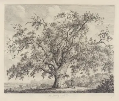 The Tutbury Wych-Elm av Jacob George Strutt