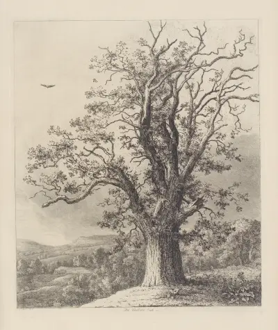 The Wallace Oak av Jacob George Strutt