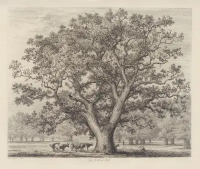 The Wotton Oak av Jacob George Strutt