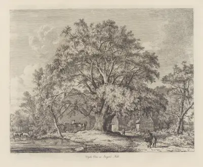 The Wych Elm at Bagot’s Mill av Jacob George Strutt