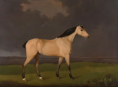 En dunhund på södra stranden av Humber, Lincolnshire av George Stubbs