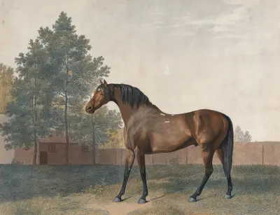 Städ av George Stubbs