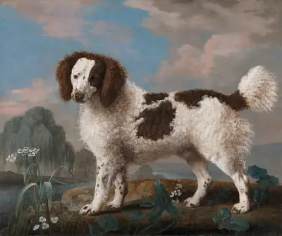 Brun och vit norfolk- eller vattenspaniel av George Stubbs