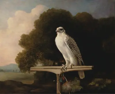 Grönländsk falk av George Stubbs