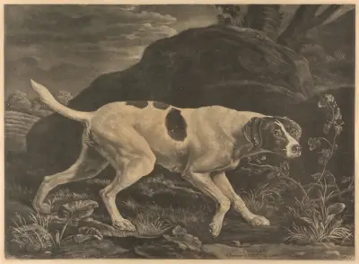 ‘Phillis’, a Pointer of Lord Clermonts av George Stubbs