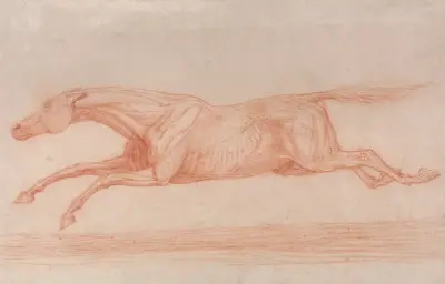 Study of a Racehorse in Action; Galloping to Left, a Semi-Anatomical Study, with Skin Flayed to Show Action of Muscles av George Stubbs