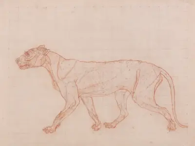 Tiger Body, Lateral View (1795 to 1806), 1795 – nr 2 av George Stubbs
