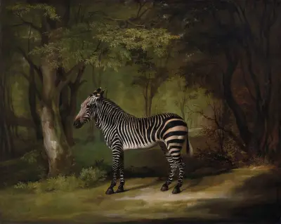 Zebra av George Stubbs