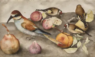 Still Life with Birds and Fruit av Giovanna Garzoni